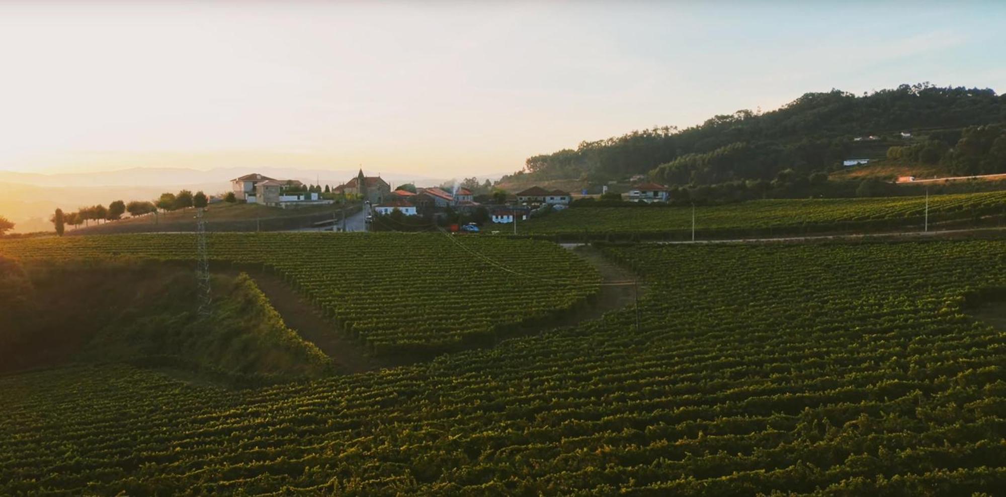 The Farmhouse I - Uma Quinta Deslumbrante 费尔格拉斯 外观 照片